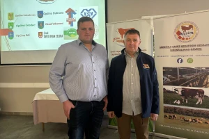 Mladi stočar Tomislav Kralj preuzeo Savez simentalca: “Rodio sam se među kravama, tu i ostajem”