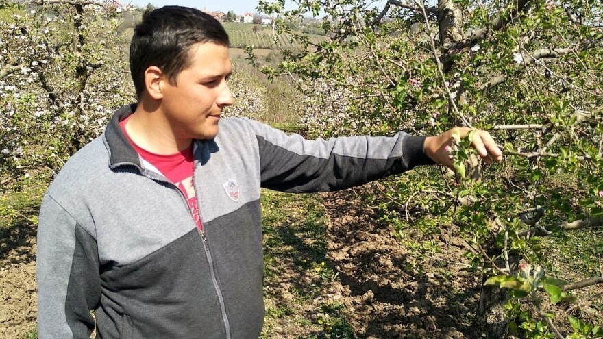 Stefan Radovanović: Svi zarađuju osim seljaka proizvođača