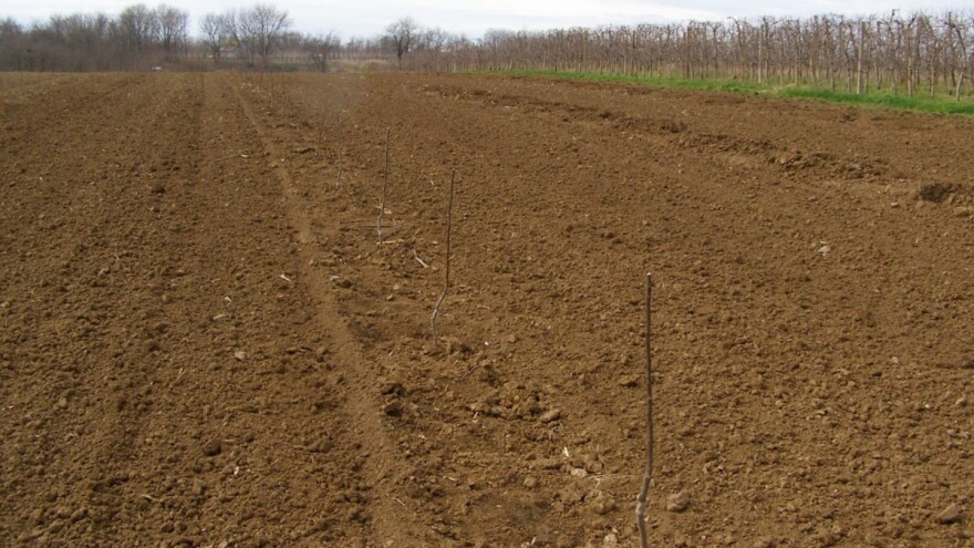 APPRRR zbog nepravilnosti izdala 136 odluka o povratu, vraćeno osam milijuna kuna