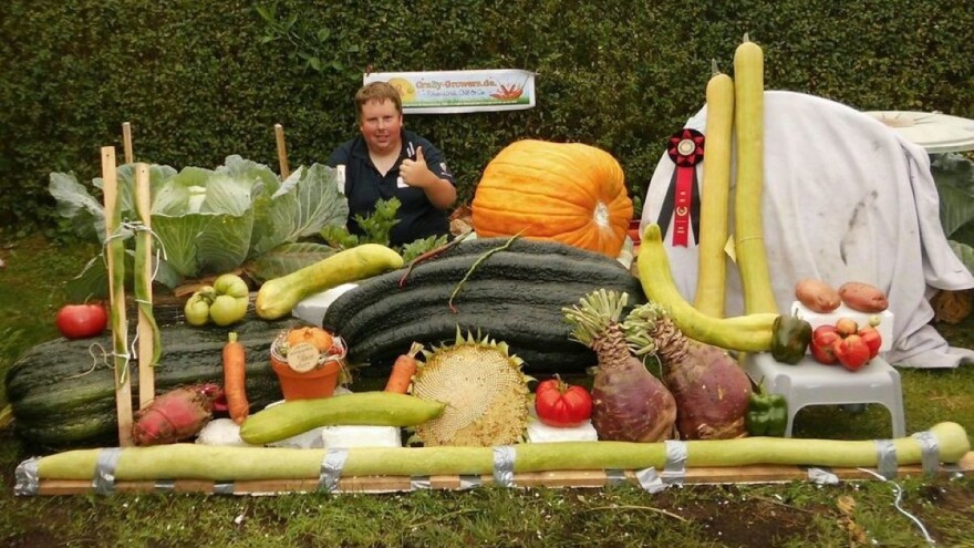 Mladić u svojoj bašti uzgaja divovsko povrće koje ruši svetske rekorde