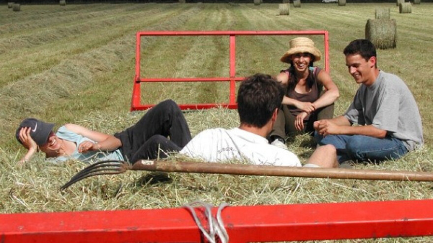 Kako mladi ocenjuju program Ministarstva