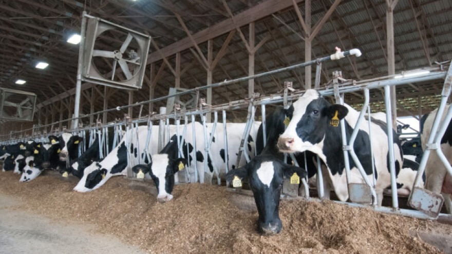 Oktobarska nagrada za mlečno govedarstvo