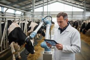 Mlečno govedarstvo traži edukovane farmere