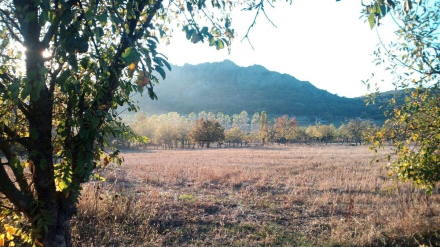 Miholjsko leto sve do novembra