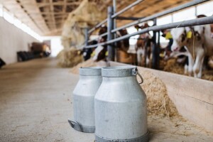 EU4AGRI: Bespovratna sredstva za poljoprivrednike - maksimalni pojedinačni iznos do 200.000 KM