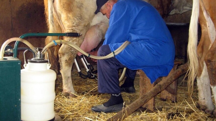 Mljekari skupljaju donacije za respirator: Čašom mlijeka za pluća puna kiseonika