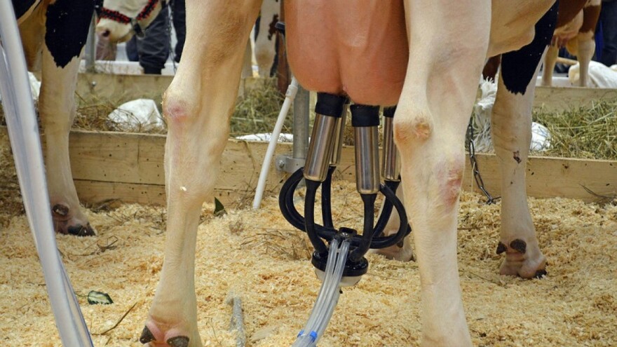 Nova oprema za proizvođače mlijeka u cilju podrške proizvodnje