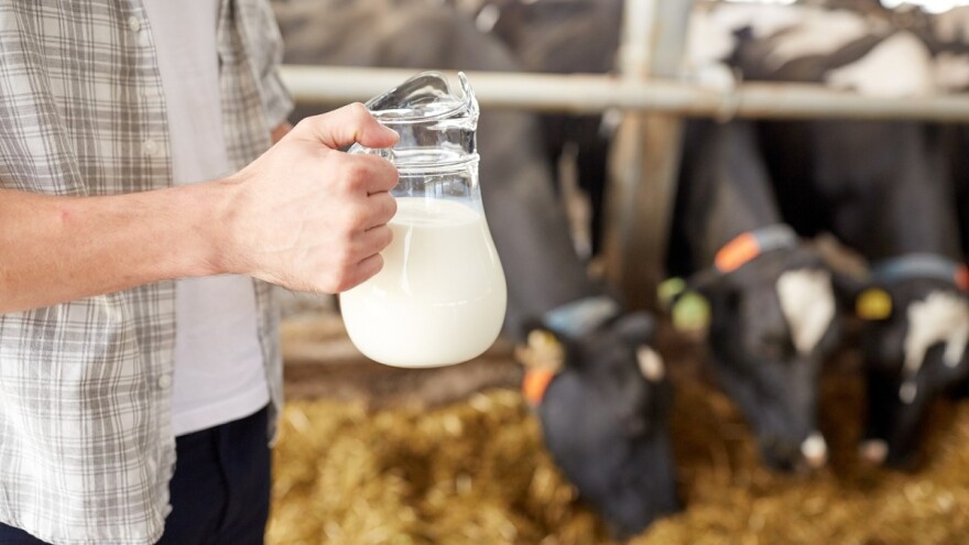 Za šta se koristi proizvedeno mleko u EU?