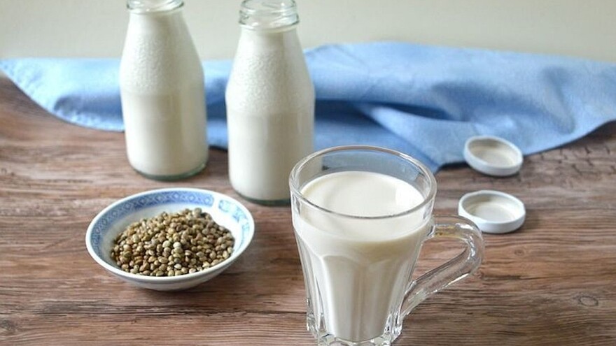 Mlijeko od konoplje postaje hit i otvara nove mogućnosti za poljoprivrednike?