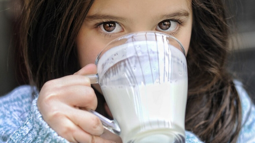 Proizvodi se više pavlake, milerama i sira