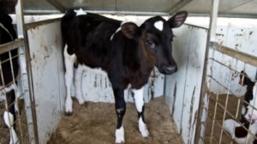 Obavijest korisnicima mliječnih kvota