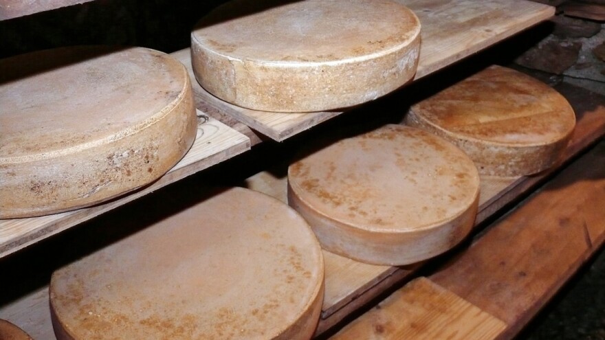 Proširit će listu mliječnih proizvoda iz BiH za izvoz u EU?