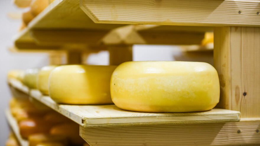 Cijena sireva stabilna, maslac skuplji za više od 50%