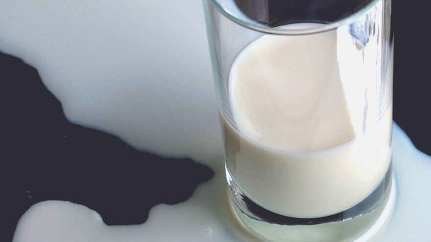 BiH mljekari i prerađivači mlijeka na udaru 17% kosovskog nameta