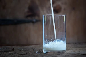 Kosovskih 17% carina na bh mlijeko i mliječen proizvode i dalje se lomi preko leđa proizvođača