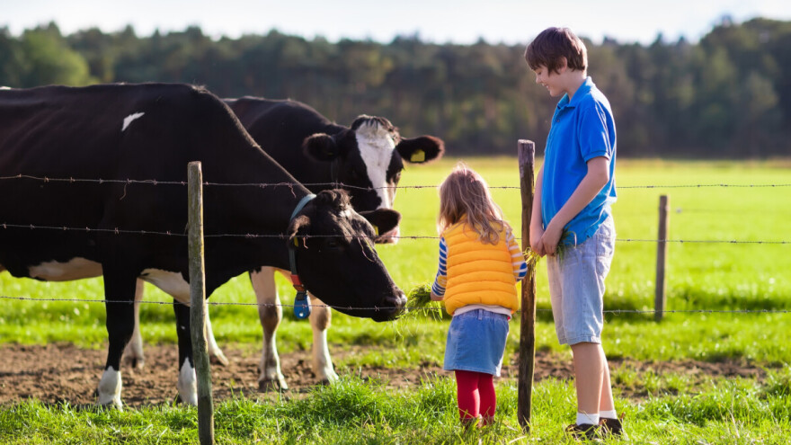 20. svjetski dan školskog mlijeka uz sudionike Bambino kupa