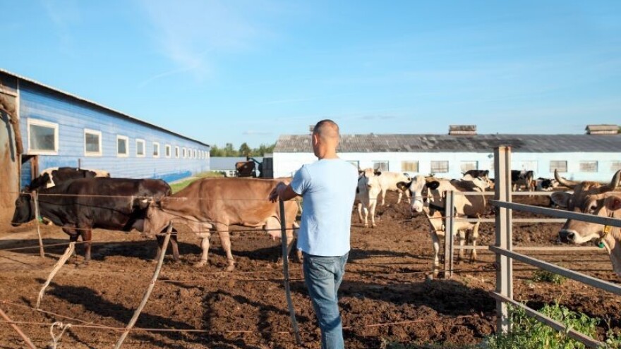Konačna odluka - BiH može izvoziti mlijeko u EU!