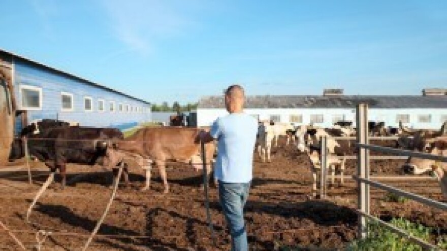 Proizvođačima mlijeka isplata pomoći do ljeta