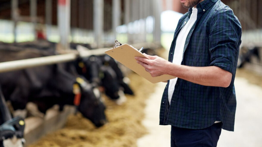 Tolušić: Cijena mlijeka nije realna i nije održiva!