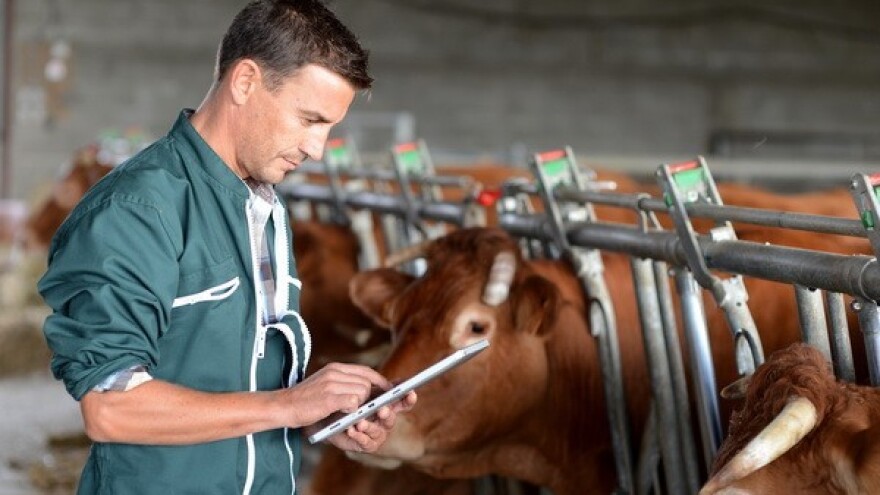 Četvrtina stočnog fonda izgubljena!