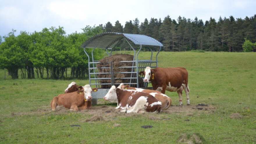 I dalje u padu količina prikupljenog mlijeka