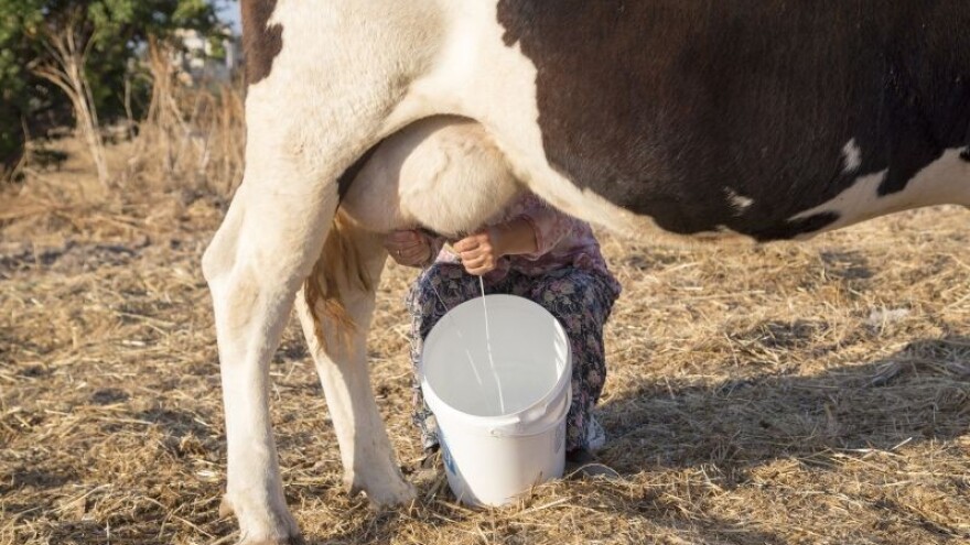 Zvono za uzbunu: Dukat opet ruši cijenu mlijeka!