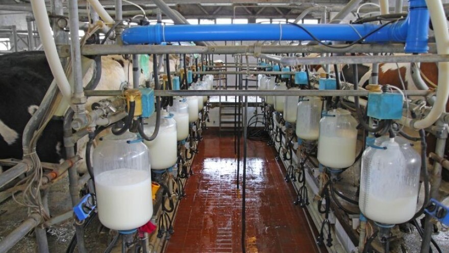 Mlijeka nikad više - a skoro je besplatno!