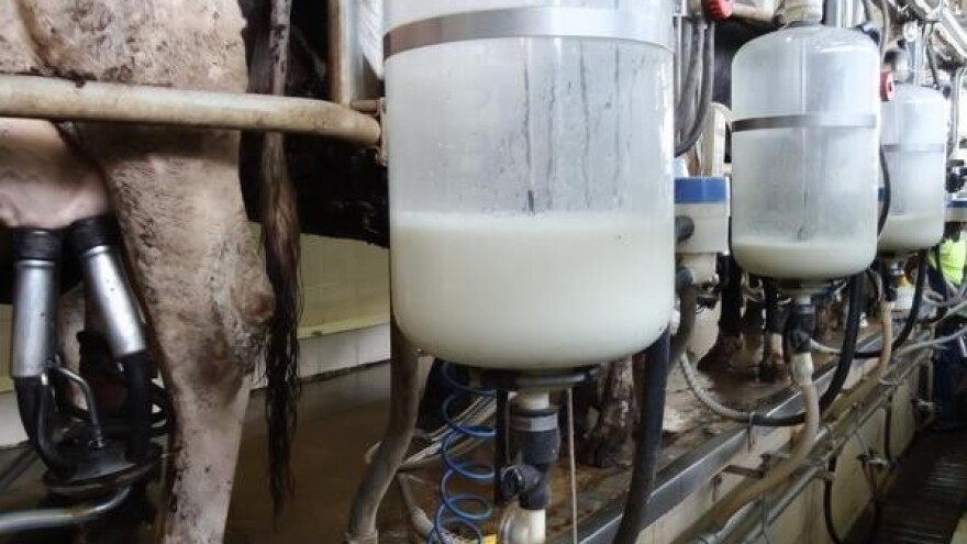 EU uvjetuje sufinanciranje troškova mljekarima