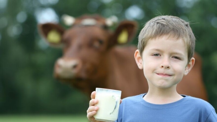 Djeca u Hrvatskoj piju premalo mlijeka
