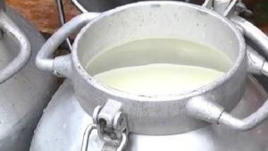 Broj mljekara u EU manji za 47 posto