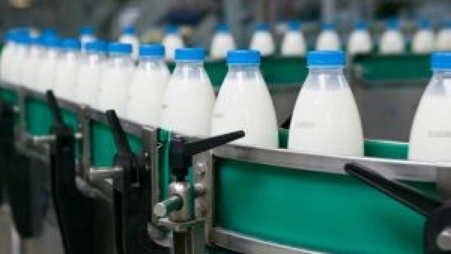 Odakle aflatoksin u mlijeku? Iskustva s terena!