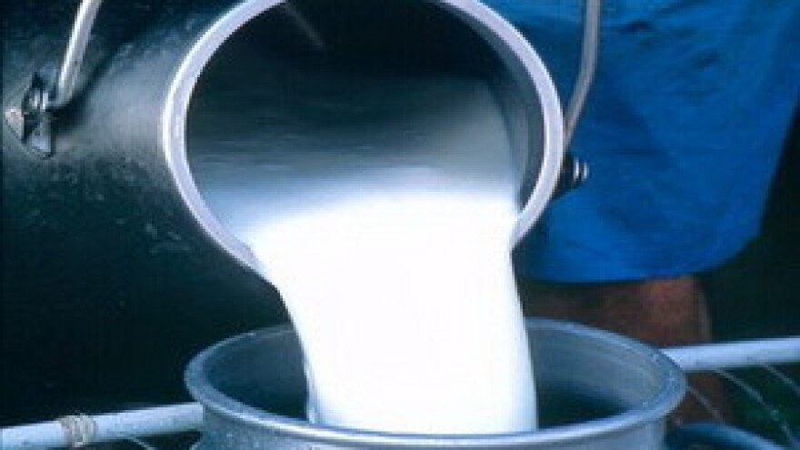 Kreditiranjem do obnove mljekarskog sektora