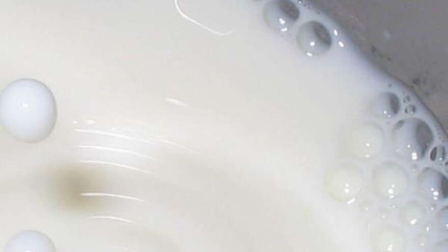 Mljekari dnevno bacaju do 2.000 litara mlijeka