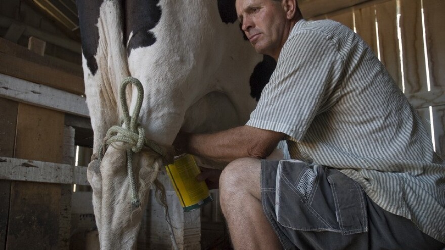 Umjesto na imanjima - mljekari na granicama!