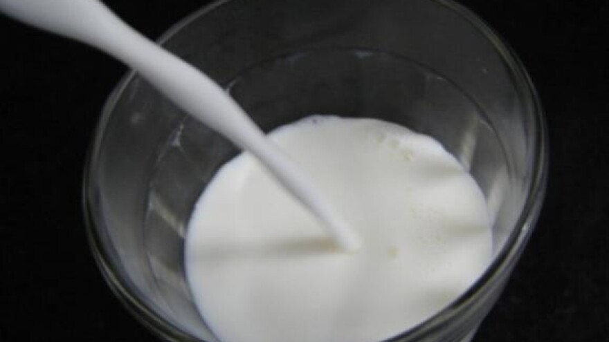 Male mljekare kriza tjera u  sirare