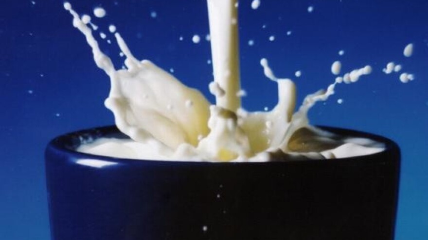 Prezaduženu mljekaru unajmila "Seljačka sloga"