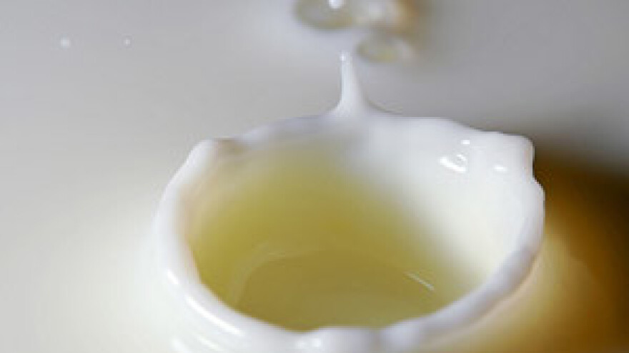 Meggle nagradio najbolje proizvođače mlijeka