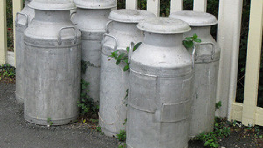 Mljekari su potajno prodavali mlijeko i dok su prosvjedovali