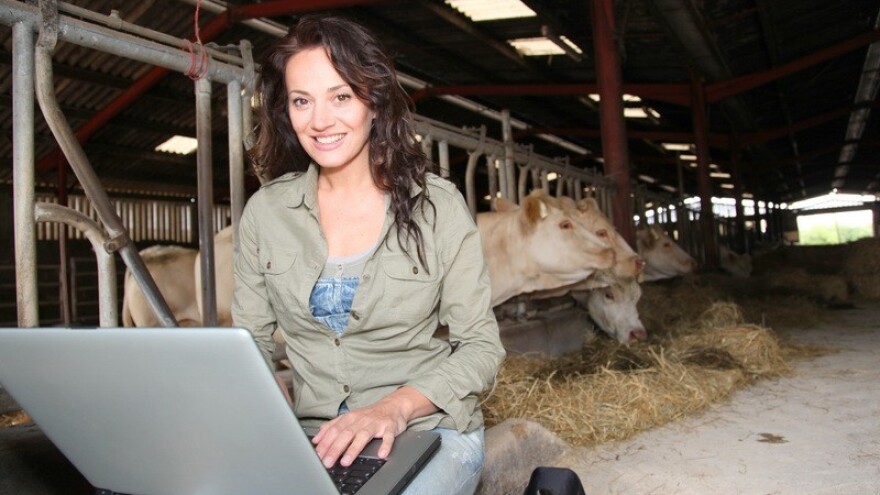 Najviše ste čitali o Fendtu, paulovniji i pelinu!