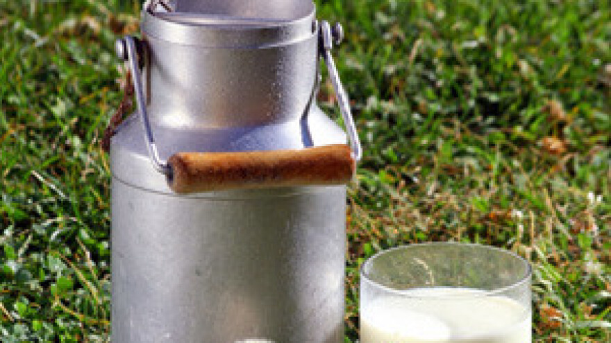 I naši mljekari prosvjeduju u Bruxellesu