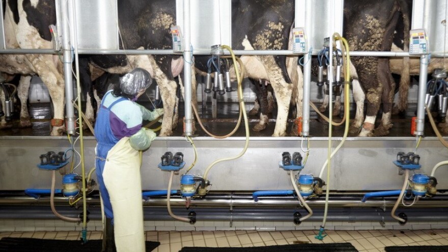 Stabilizacija cijene mlijeka u EU?