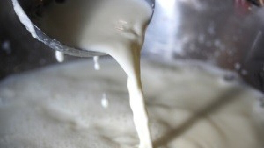 Započeo odvoz mlijeka sa povišenim aflatoksinom u bioplinska postrojenja