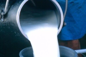 Hrvatska i Srbija žele jedan zajednički laboratorij za analizu mlijeka