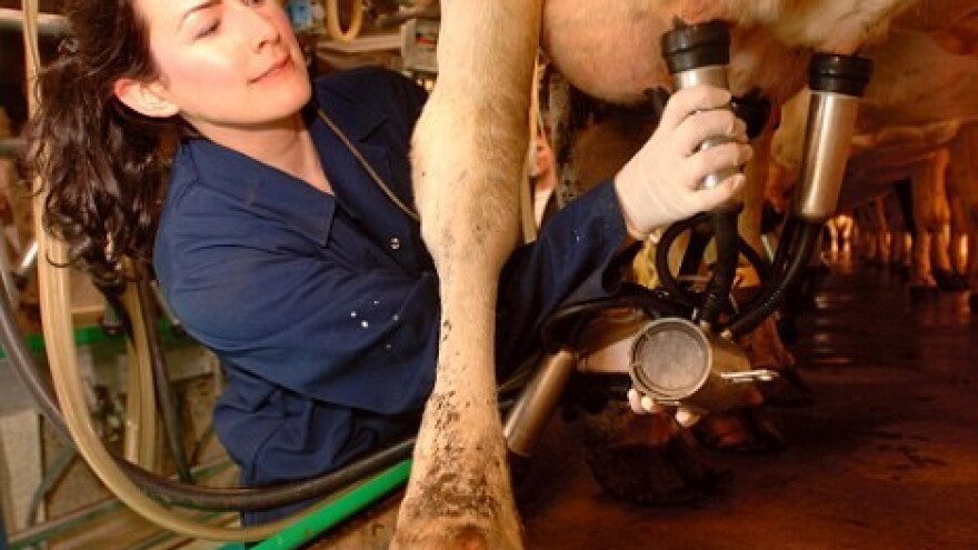 Za sada bez uvoza mlijeka iz BiH!