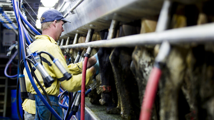 Osječka mljekara nastavlja s proizvodnjom, sirovinu će isporučivati 249 kooperanata