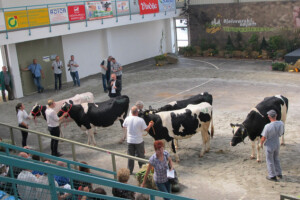 Što će biti s mlijekom nakon Uredbe o redukciji?