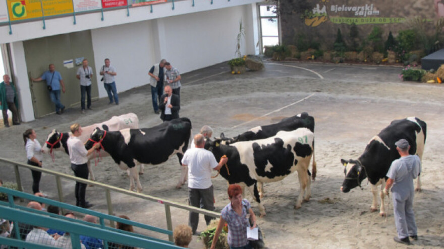 Što će biti s mlijekom nakon Uredbe o redukciji?