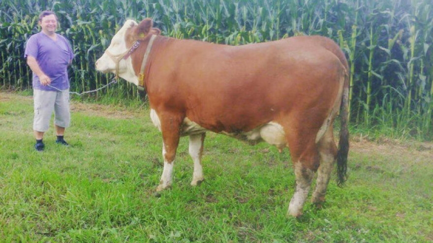 Prošlo vrijeme divljeg zapada na tržištu mlijeka