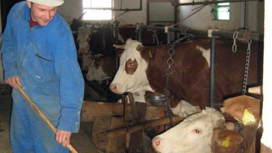 Copa-Cogeca lobira za hrvatske stočare u EU