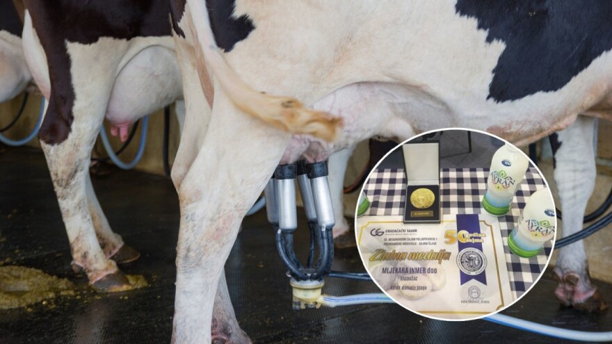 Domaća mljekara Inmer osvojila dvije Zlatne medalje za kvalitet proizvoda sa bh. pašnjaka!